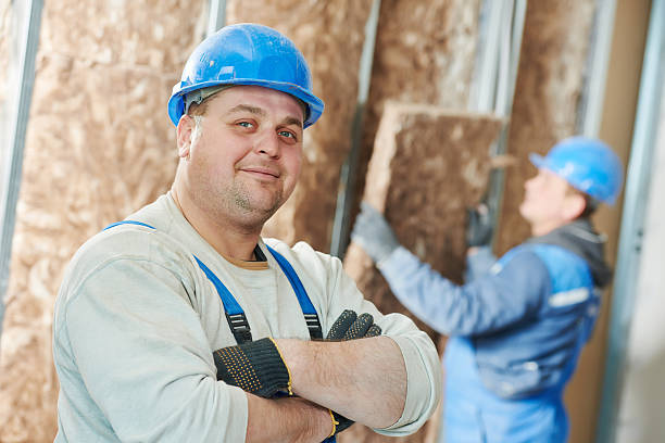 Best Blown-In Insulation  in Rolesville, NC